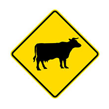 New Zealand Traffic Sign Watch for Large Animals (Cattle)